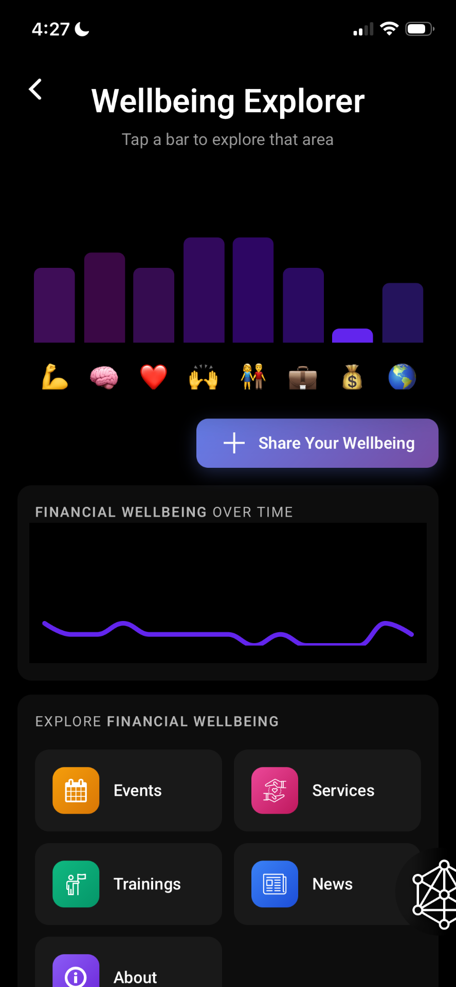Wellbeing Explorer